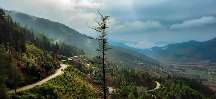 Valley views