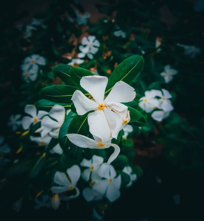 Quiet moments