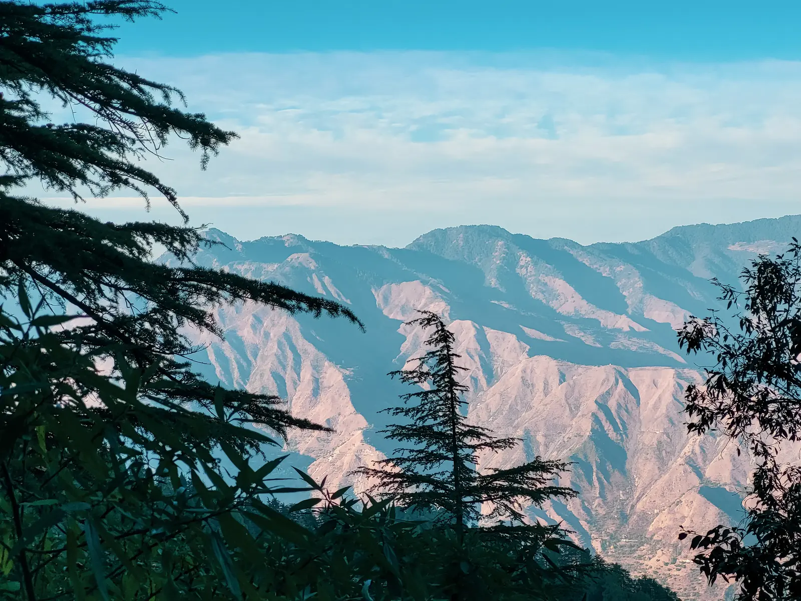 Whispering pines and cool breeze on the ridge. Silence has its own distinct melody up here. 🍃

#pines #mussooriehills #quietmoments #greenery #serenity #pahad