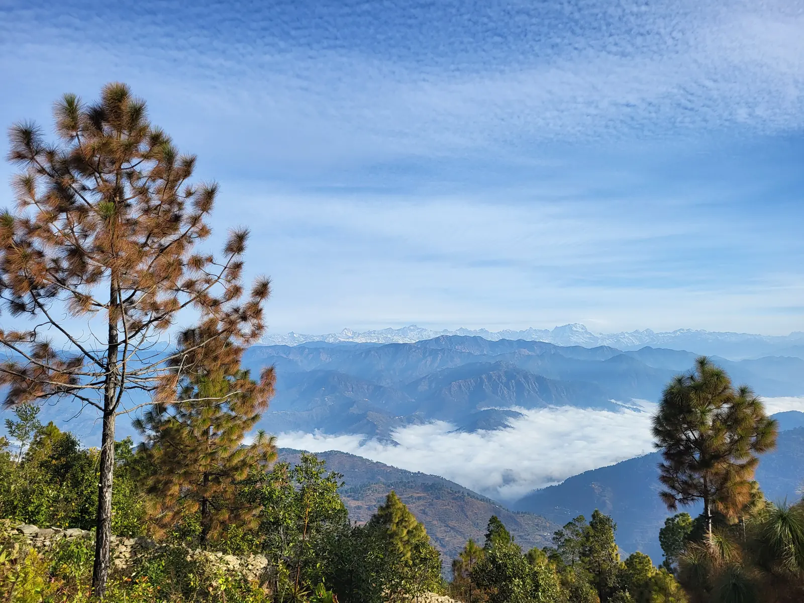 Azure skies meeting jagged mountain crowns. The sheer scale of nature is humbling. ⛰️🌤️

#mountainrange #blueskies #himalayanpeaks #majesticnature #landscapehunter #auli