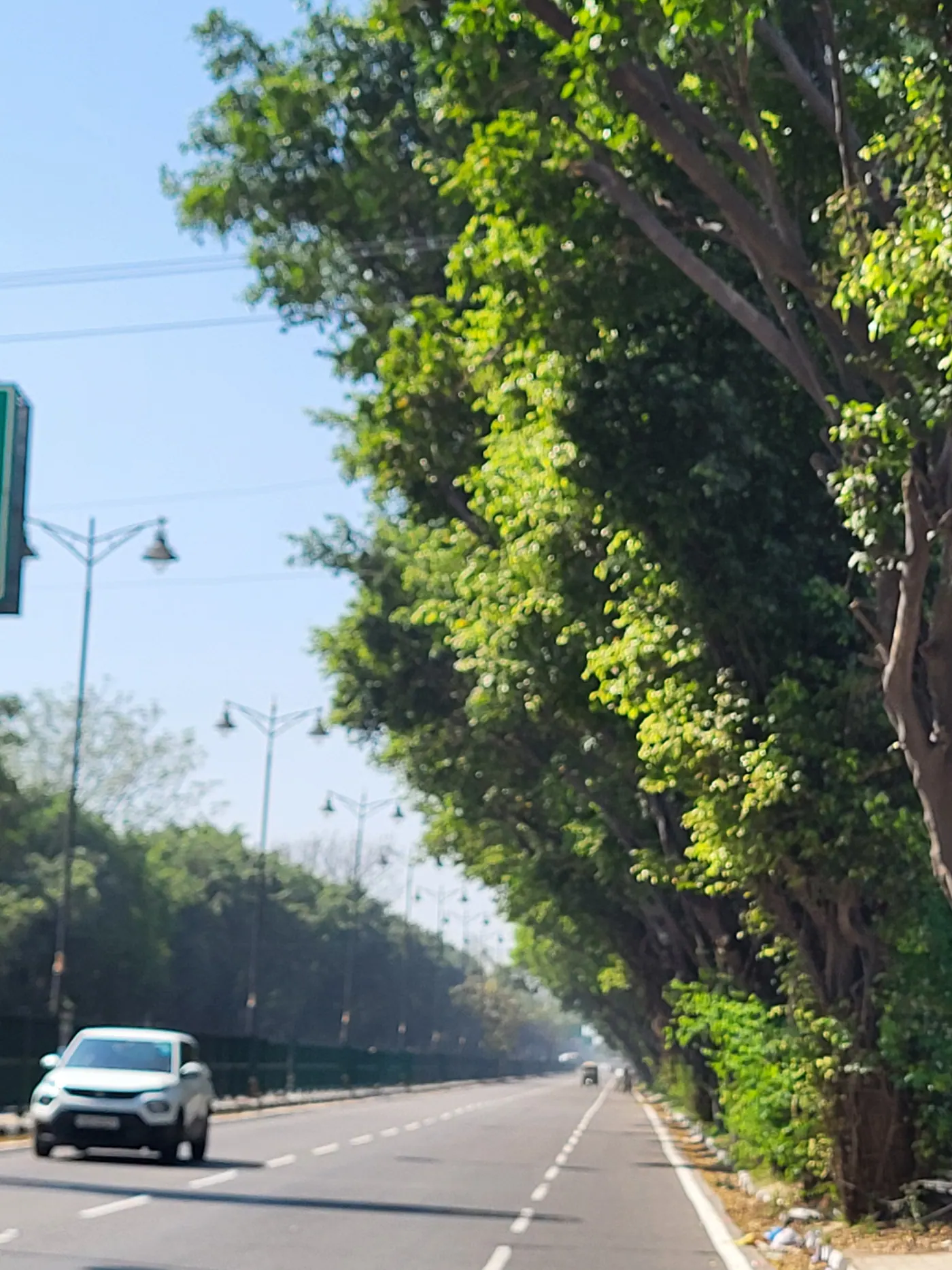 Morning drives under green canopies. There is a rare kind of peace when the roads are empty and the trees form a natural roof over your journey. 🌿🚗

#streetphotography #morningdrive #noida #urbanlines #natureinthecity #visualstories